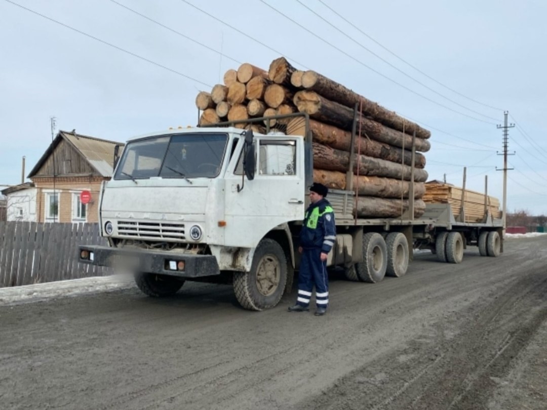 Полицейские предупреждают: "За незаконную рубку лесных насаждений предусмотрена административная и уголовная ответственность"