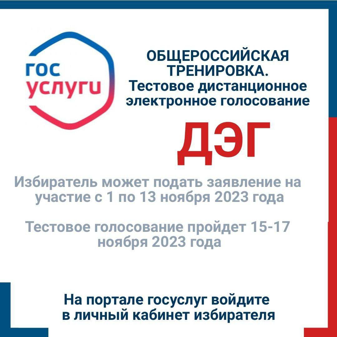 Принять участие в выборах можно будет, не выходя из дома