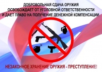 На территории Копейского городского округа проводится профилактическое мероприятие «Оружие-2024»