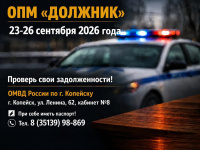 ОПМ «Должник»
