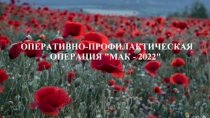 В Копейске начался 2 этап межведомственной комплексной оперативно-профилактической операции «Мак-2022» 