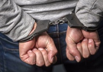 В Челябинске перед судом предстанут участники преступного сообщества, обвиняемые в интернет-мошенничестве
