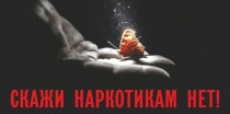 Профилактика наркомании и незаконного оборота наркотиков 