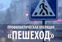 На территории Челябинской области стартует профилактическая акция «Пешеход»