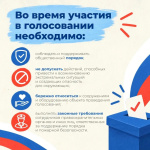 Полиция Челябинской области напоминает жителям региона о недопустимости нарушений правопорядка при посещении избирательных участков 