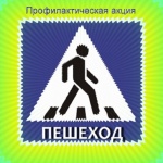 Госавтоинспекция Копейского городского округа проводит мероприятия по профилактике наездов на пешеходов