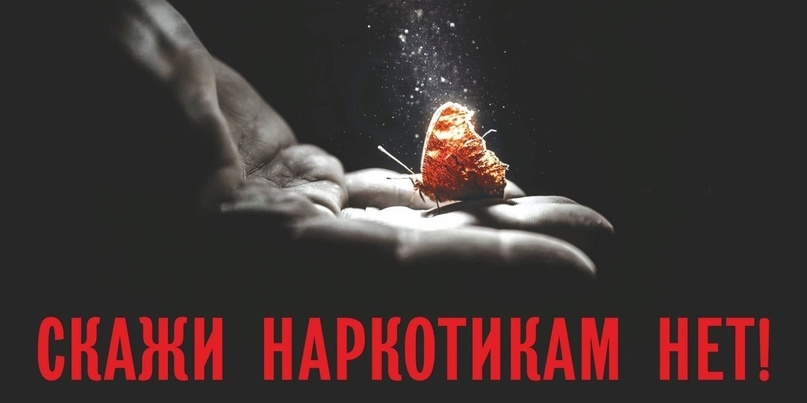 Профилактика наркомании и незаконного оборота наркотиков 