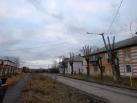 В Копейске продолжается обрезка деревьев и кустарников