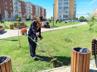 В Копейске продолжаются работы по покосу травы
