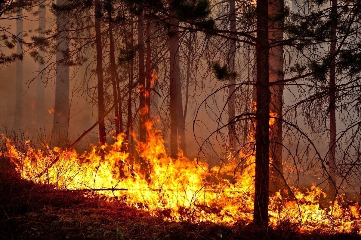 Чтобы не было беды