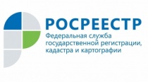 В ЕГРН внесены сведения о границах Троицкого и Трехгорного городских лесничеств