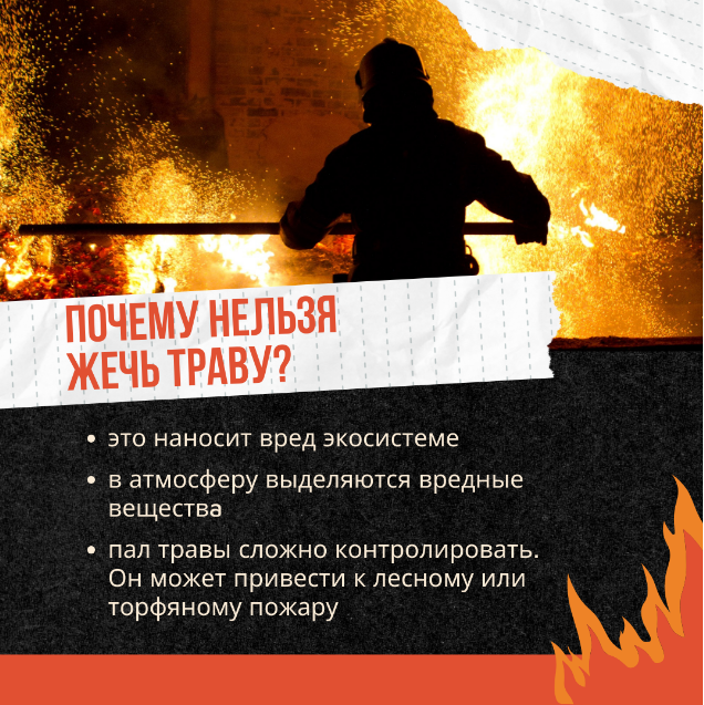 Топливо для огня – сухая трава