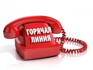 О проведении телефонной «горячей линии» по услугам такси и каршеринга