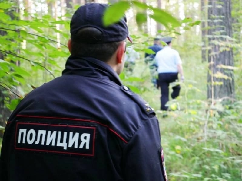 Полиция Копейска напоминает простые правила, которые помогут не заблудиться и получить удовольствие от нахождения в лесу