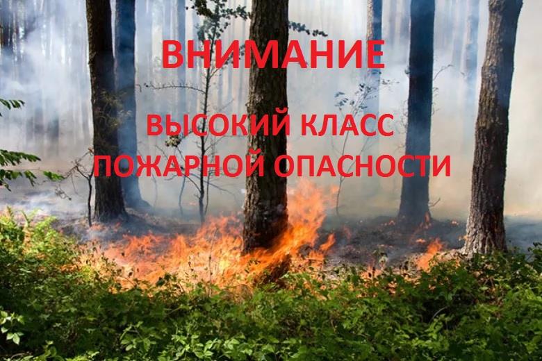 Ожидается высокая пожарная опасность