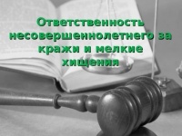 Ребенок взял товар в магазине без оплаты: последствия по закону