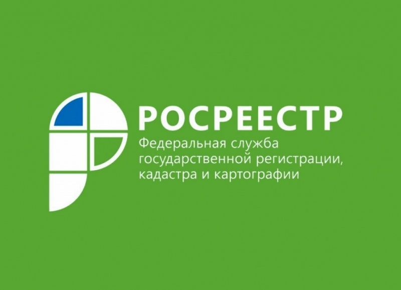 Как проверить, внесены ли в ЕГРН границы земельного участка?