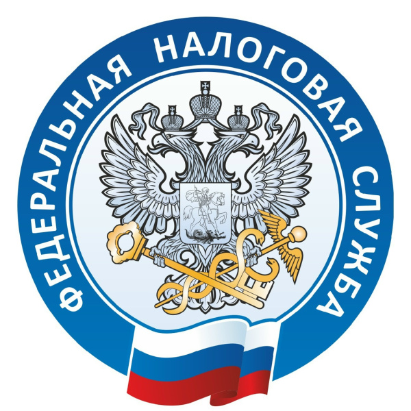 Кто имеет право и как оформить льготу по имущественным налогам