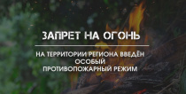 Полиция предупреждает: в Челябинской области действует особый противопожарный режим