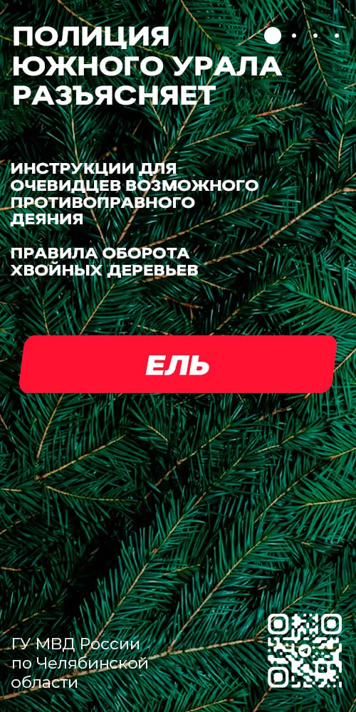 Полиция предупреждает: незаконная рубка хвойных деревьев влечёт ответственность
