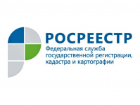 Какие сведения после перепланировки квартиры вносятся в ЕГРН