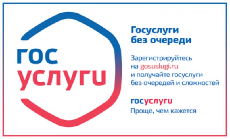 Получение государственных услуг в электронном виде позволяет избежать многих проблем