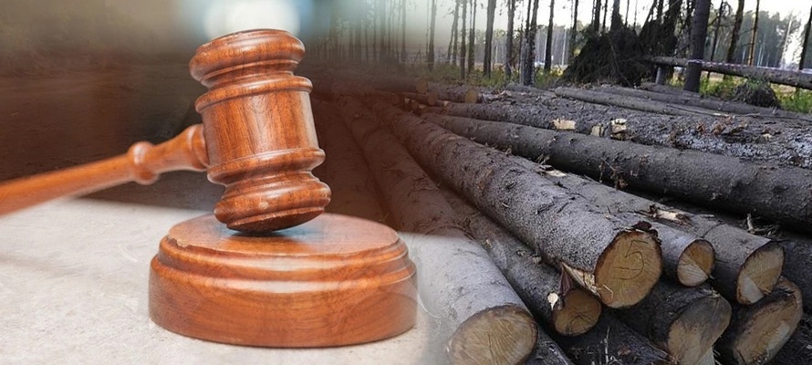 Полиция напоминает об ответственности за незаконную рубку лесных насаждений