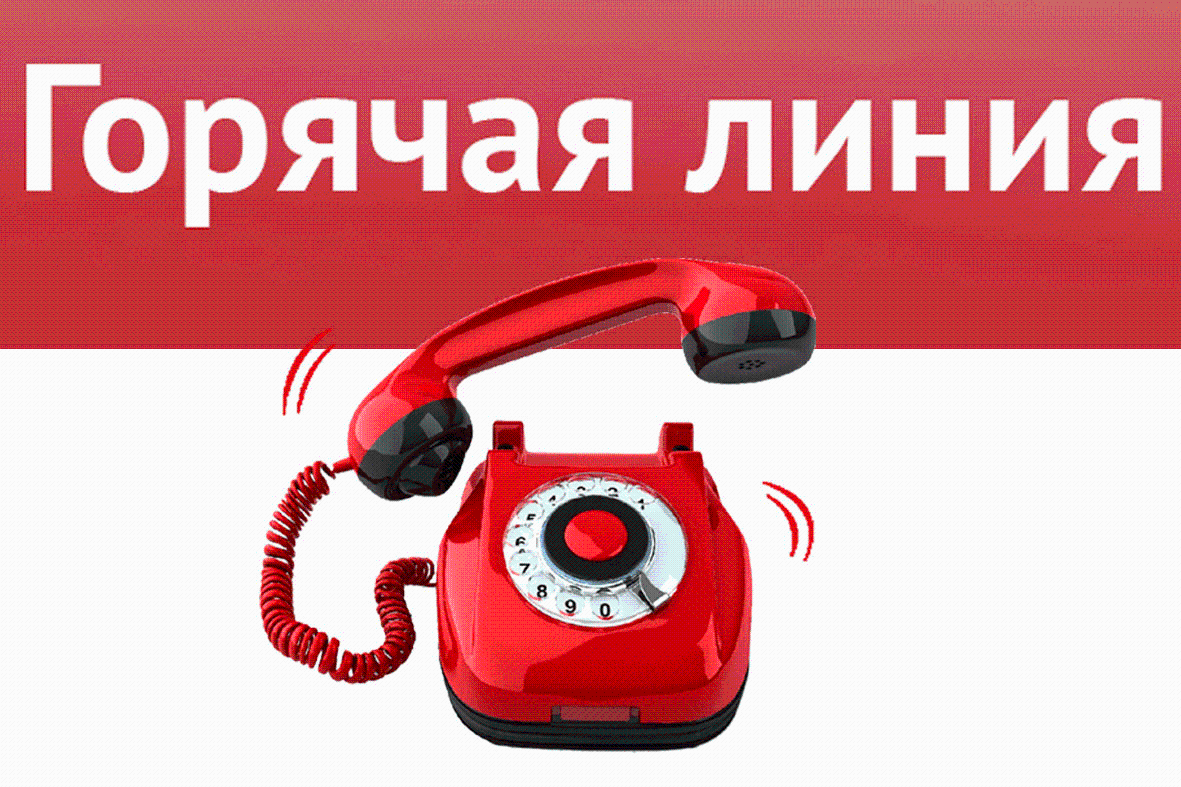 О проведении телефонной «горячей линии» приуроченной  ко Всемирному дню прав потребителей в 2023 г.