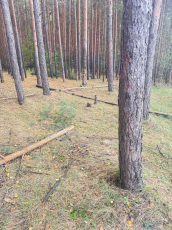 Утверждено обвинительное заключение по уголовному делу