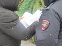 Полицейские Копейска приступили к проверкам елочных базаров.