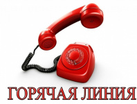 Эксперты Кадастровой палаты расскажут, как южноуральцам получить услуги Росреестра в электронном виде