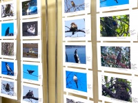 Фотовыставка в Центральной библиотеке