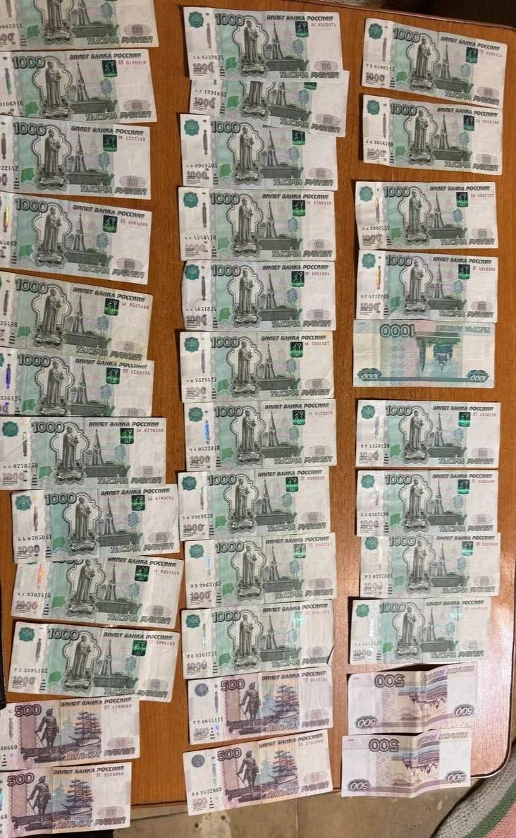 В Копейске пресечена незаконная деятельность криминального дуэта