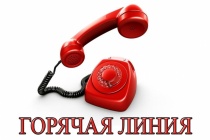 Горячая линия по незаконной реализации алкогольной продукции