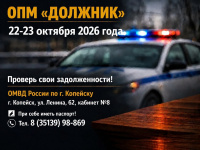ОПМ "Должник"