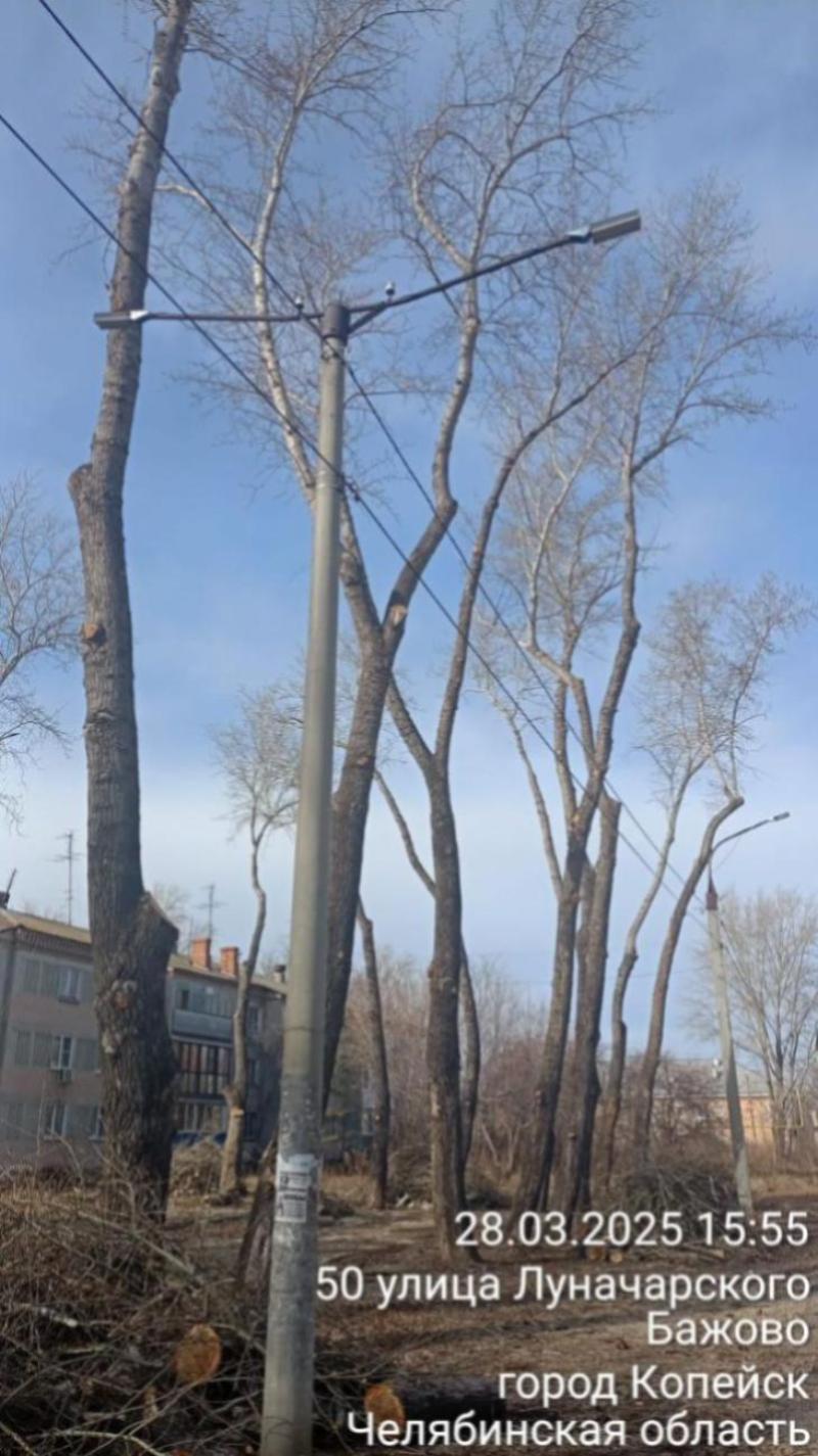 В Копейске продолжается санитарная обрезка деревьев