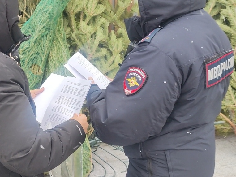 Полицейские Копейска провели рейд по елочным базарам