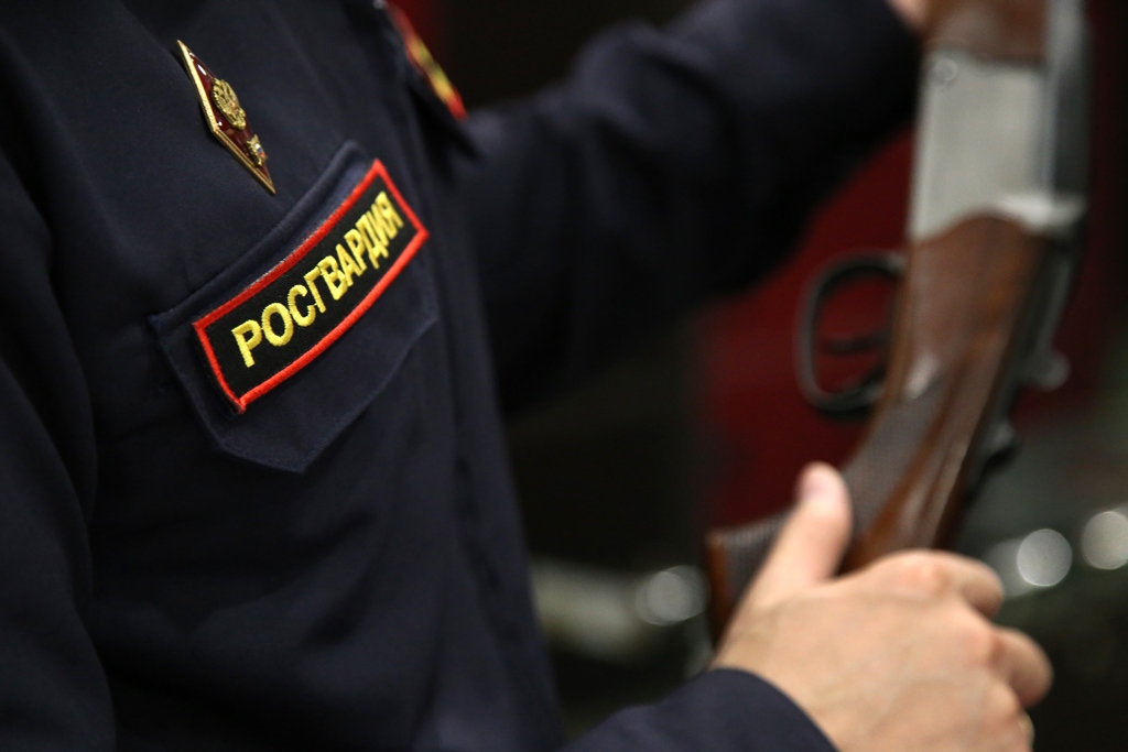 Информация о проведении профилактического мероприятия «Оружие-2024»