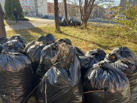 В Копейске прошел ежемесячный субботник