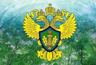Росприроднадзор и РАН будут сотрудничать с одаренными детьми