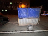 Полицейские задержали мужчину, похитившего коров в Чебаркульском районе