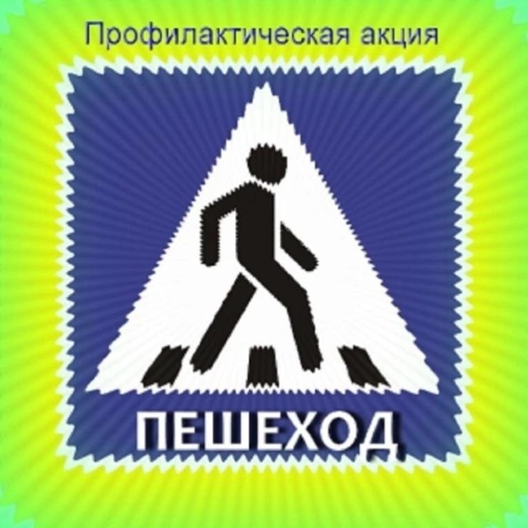 Госавтоинспекция Копейского городского округа проводит мероприятия по профилактике наездов на пешеходов с 11 по 15 октября 2023 года