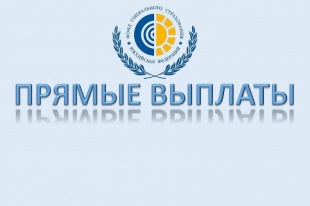 До старта проекта «Прямые выплаты» в Челябинской области  осталось несколько месяцев