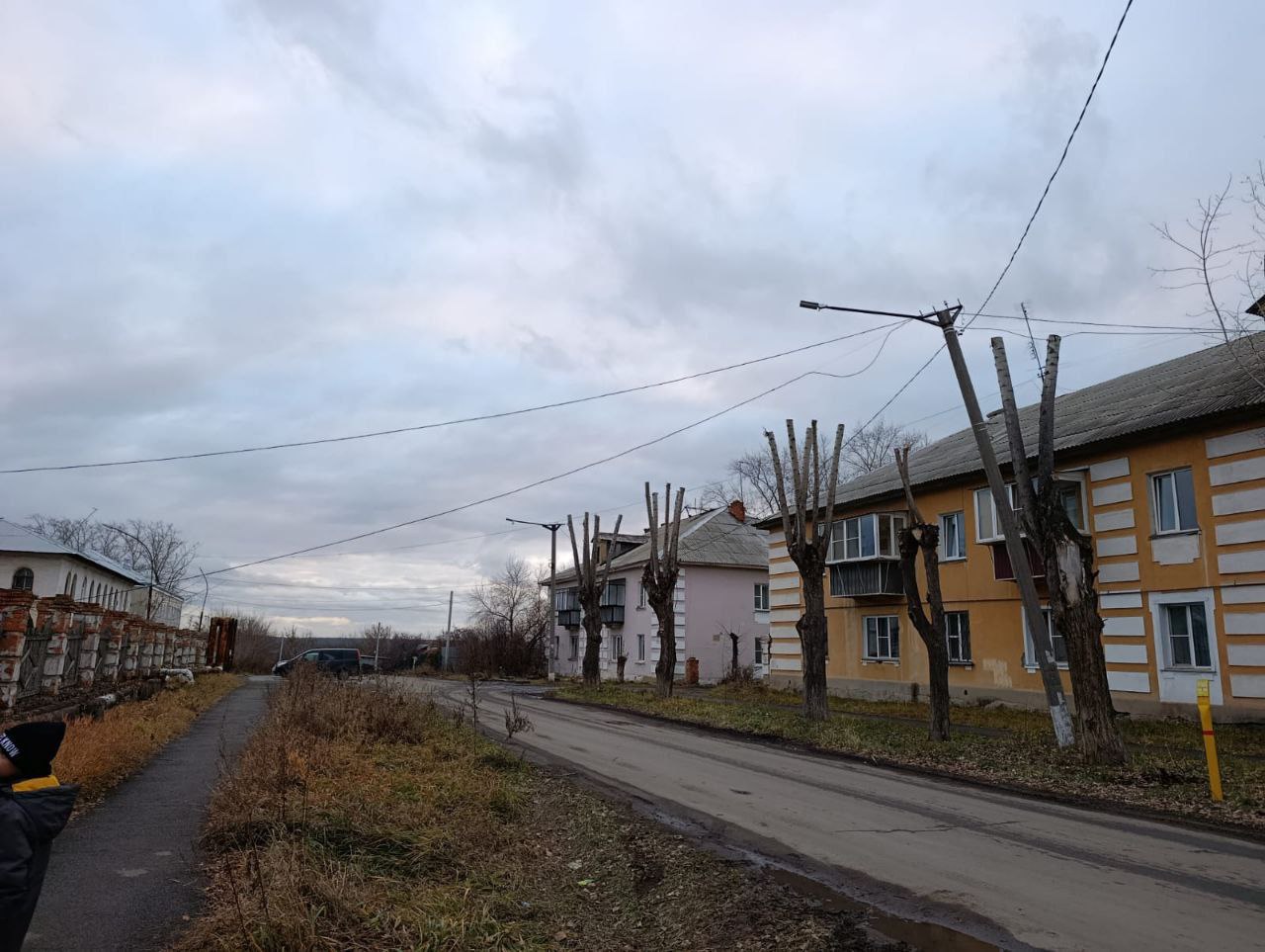В Копейске продолжается обрезка деревьев и кустарников