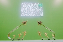 Подведены итоги реализации федерального проекта «Спорт — норма жизни»