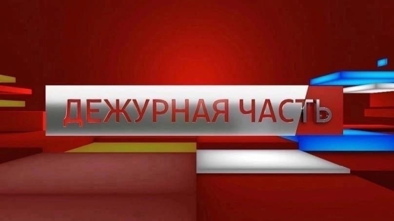 МВД России напоминает родителям: оставлять окна открытыми — опасно!