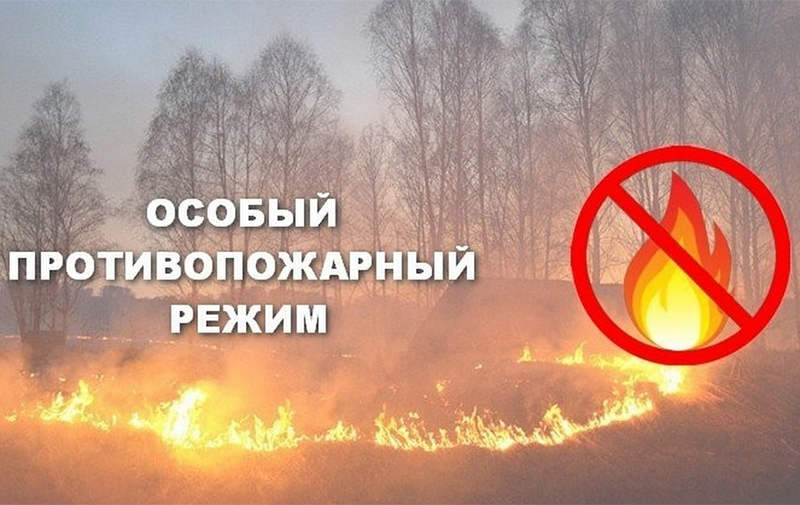 В Челябинской области введен особый противопожарный режим