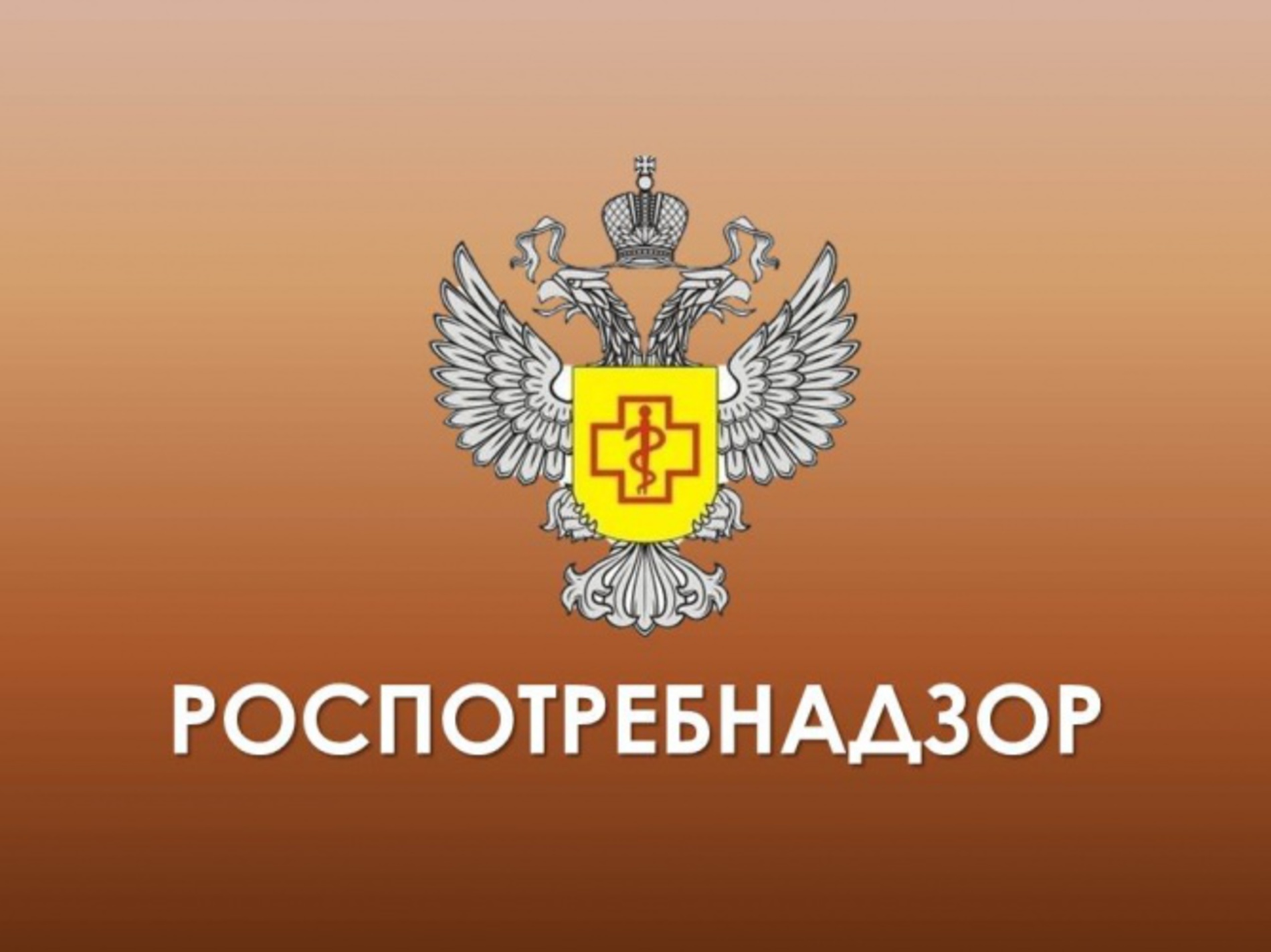 Роспотребнадзор сообщает о проведении горячей линии по безопасности пищевых продуктов