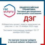 Принять участие в выборах можно будет, не выходя из дома