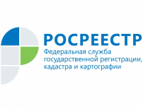 Директор Кадастровой палаты по Челябинской области ответит на вопросы южноуральцев